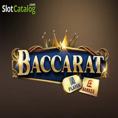 ব্যাকারেট C08 cbaji অনলাইন ক্যাসিনো